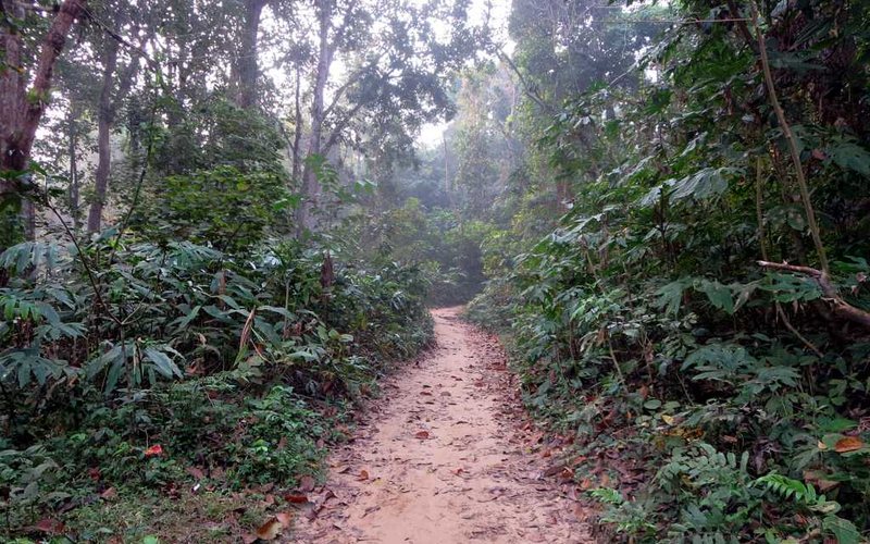 লাউয়াছড়া জাতীয় উদ্যান