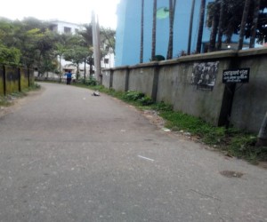 সদর উপজেলার ইসলামবাগ আবাসিক এলাকায় কাজী ভিলা হতে রশিদ মঞ্জিল হয়ে শাপলা ভিলা পর্যন্ত ও কানিহাটী লজ পর্যন্ত রাস্তা কার্পেটিং করণ 
